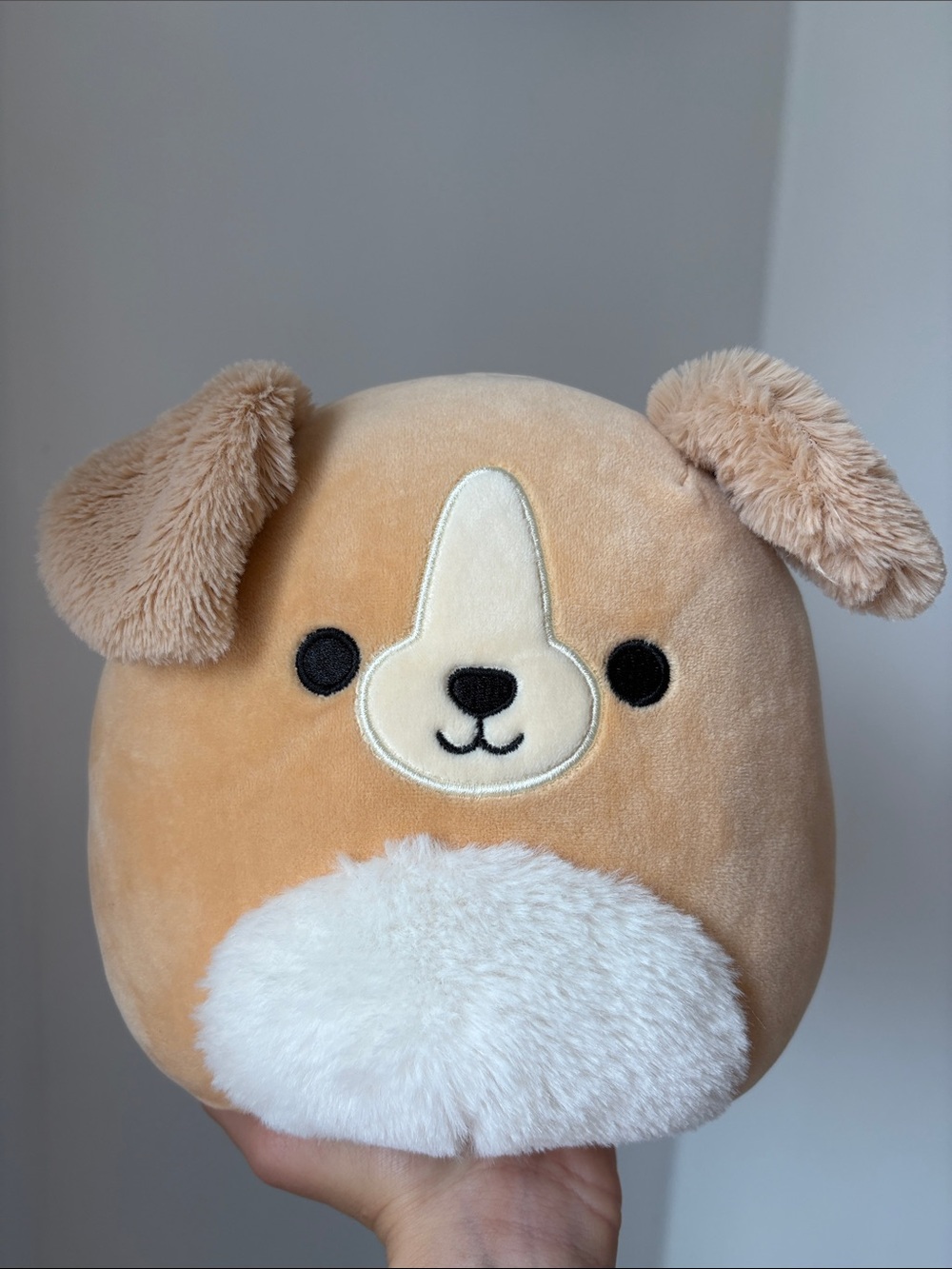 3/$20 | 2/$15 Squishmallows 8” Stevon the golden retriever Plush NWOT